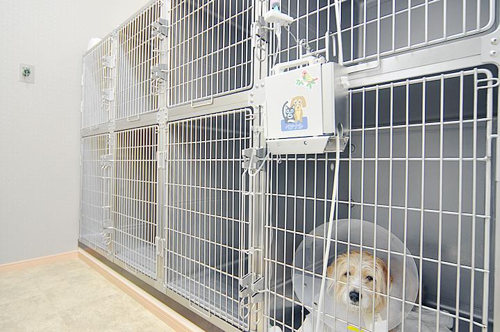 犬用の入院室です。猫用や隔離室もあります。