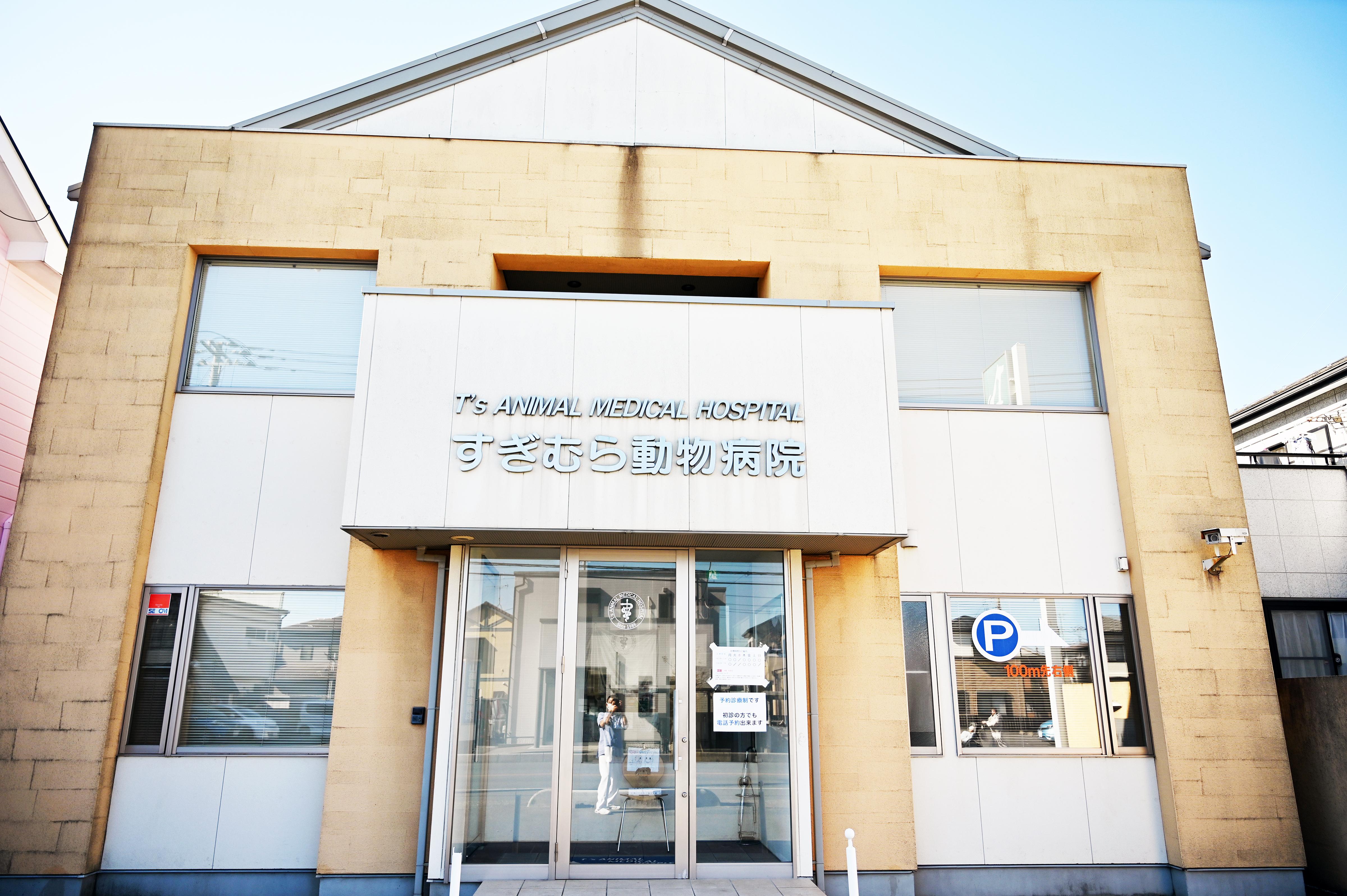 トリマー募集！上尾市の動物病院