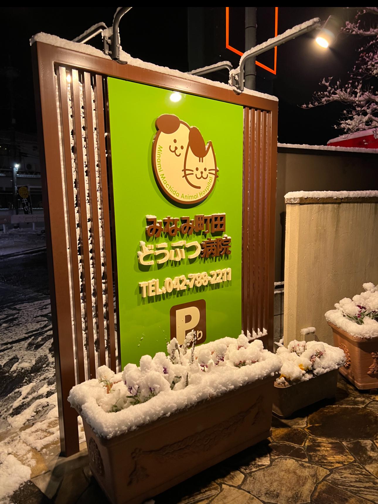 雪の日の病院の外看板です