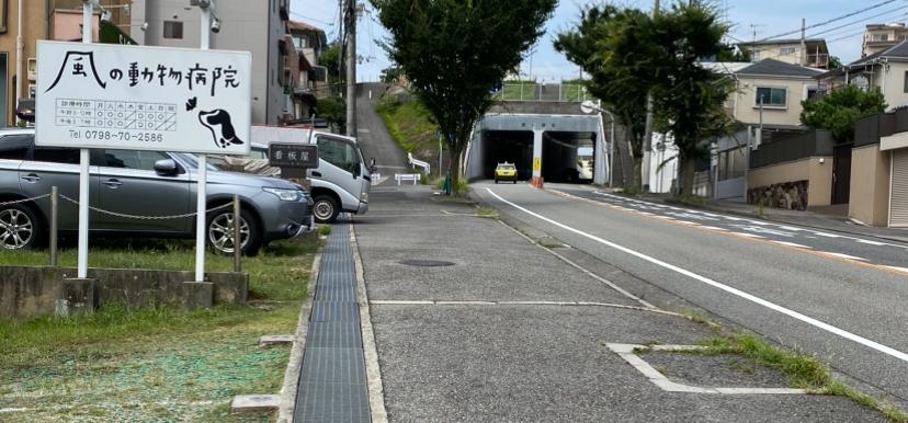 岩園隧道の東側すぐの立地です。