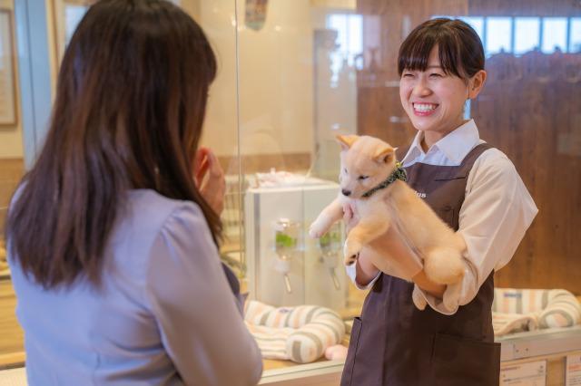 子犬や子猫と飼い主様をつなぐ貴重な経験ができるお仕事！