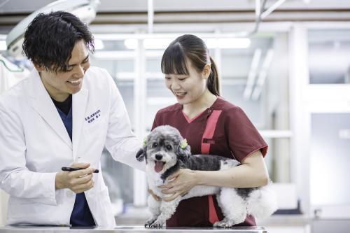 茶屋ヶ坂動物病院