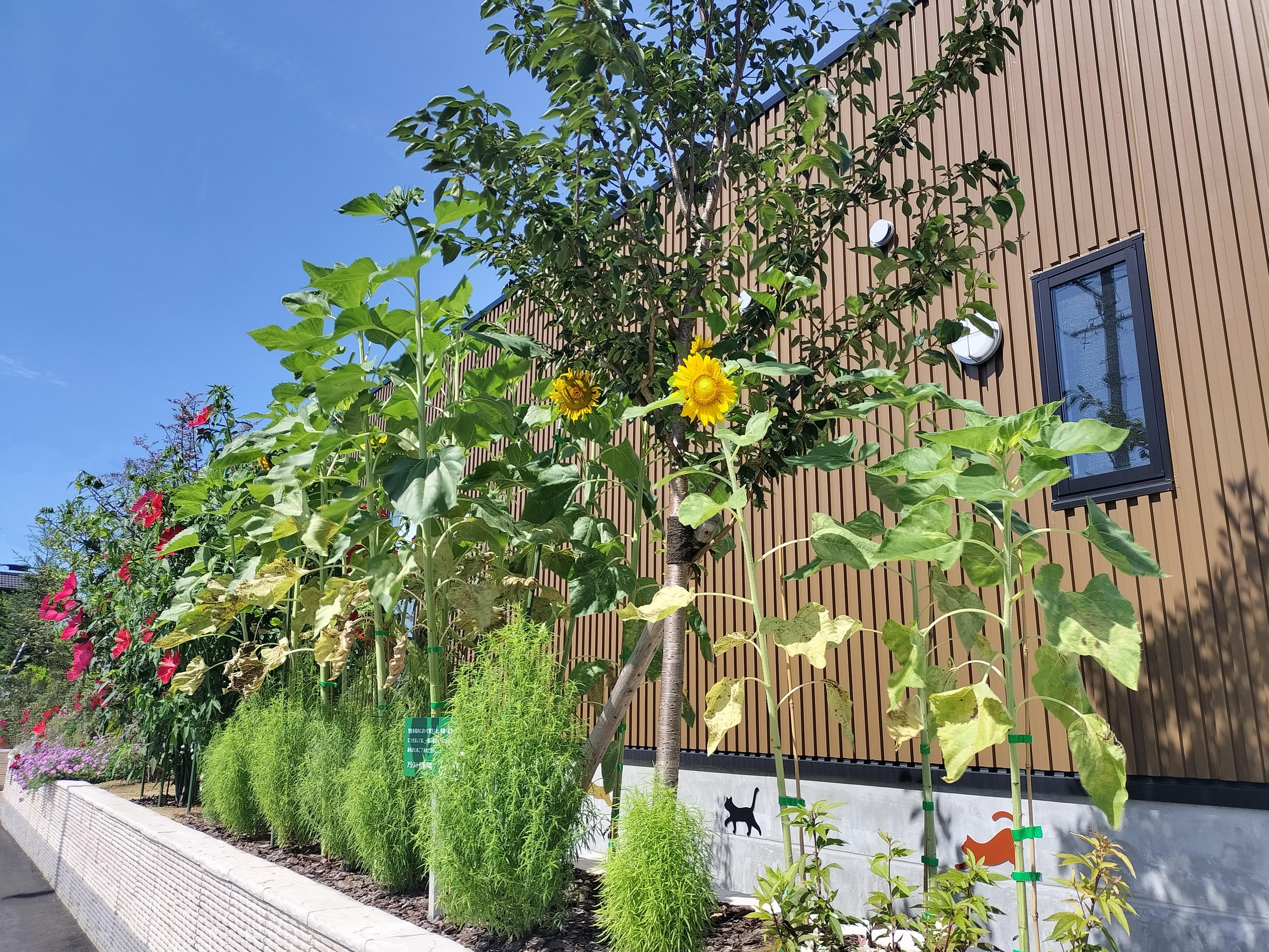 たくさんの植物に囲まれる病院棟