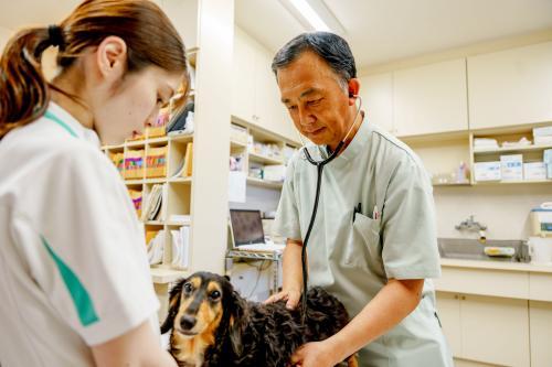 プライベートも充実したい獣医師募集