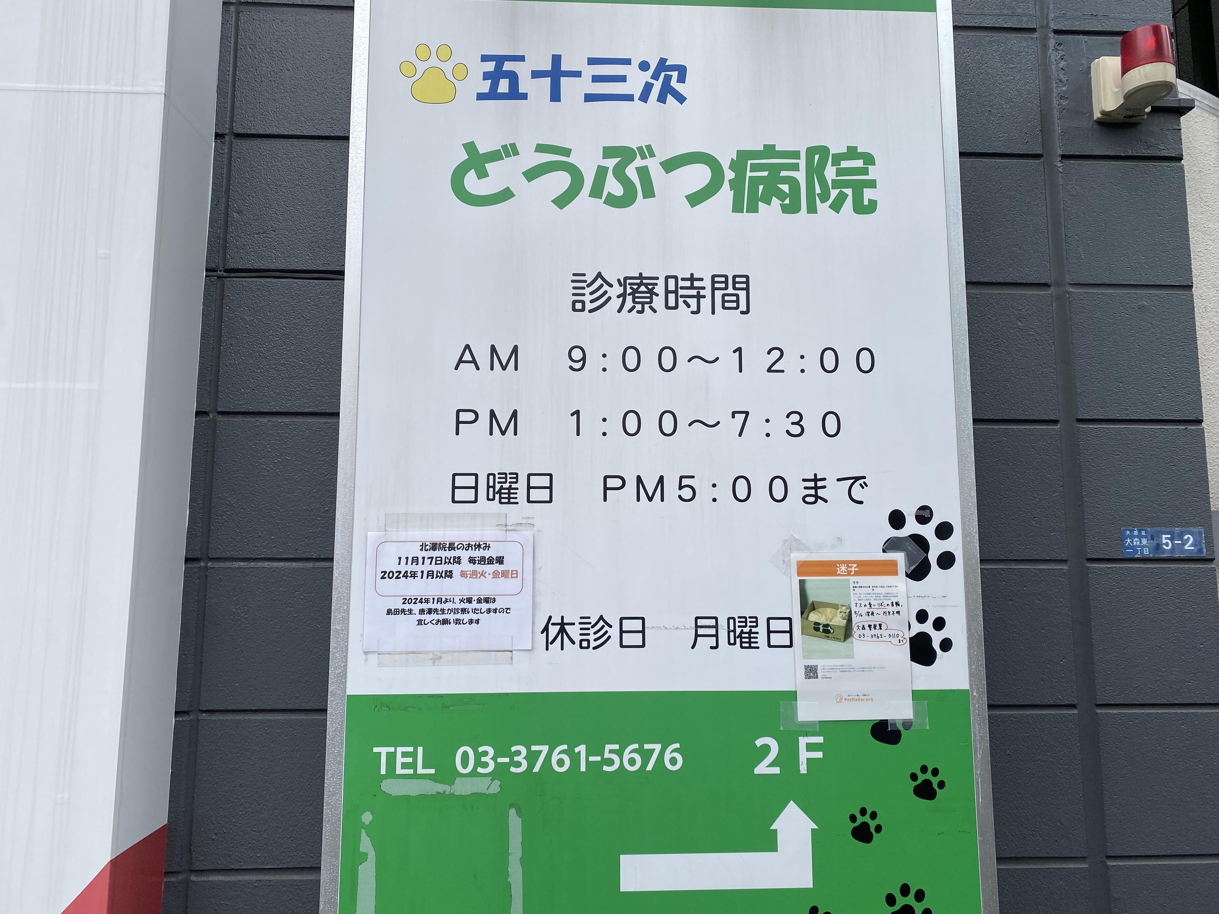 株式会社五十三次どうぶつ病院｜【大田区】動物看護士、アニマルケア