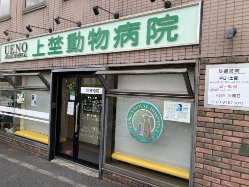 上埜動物病院