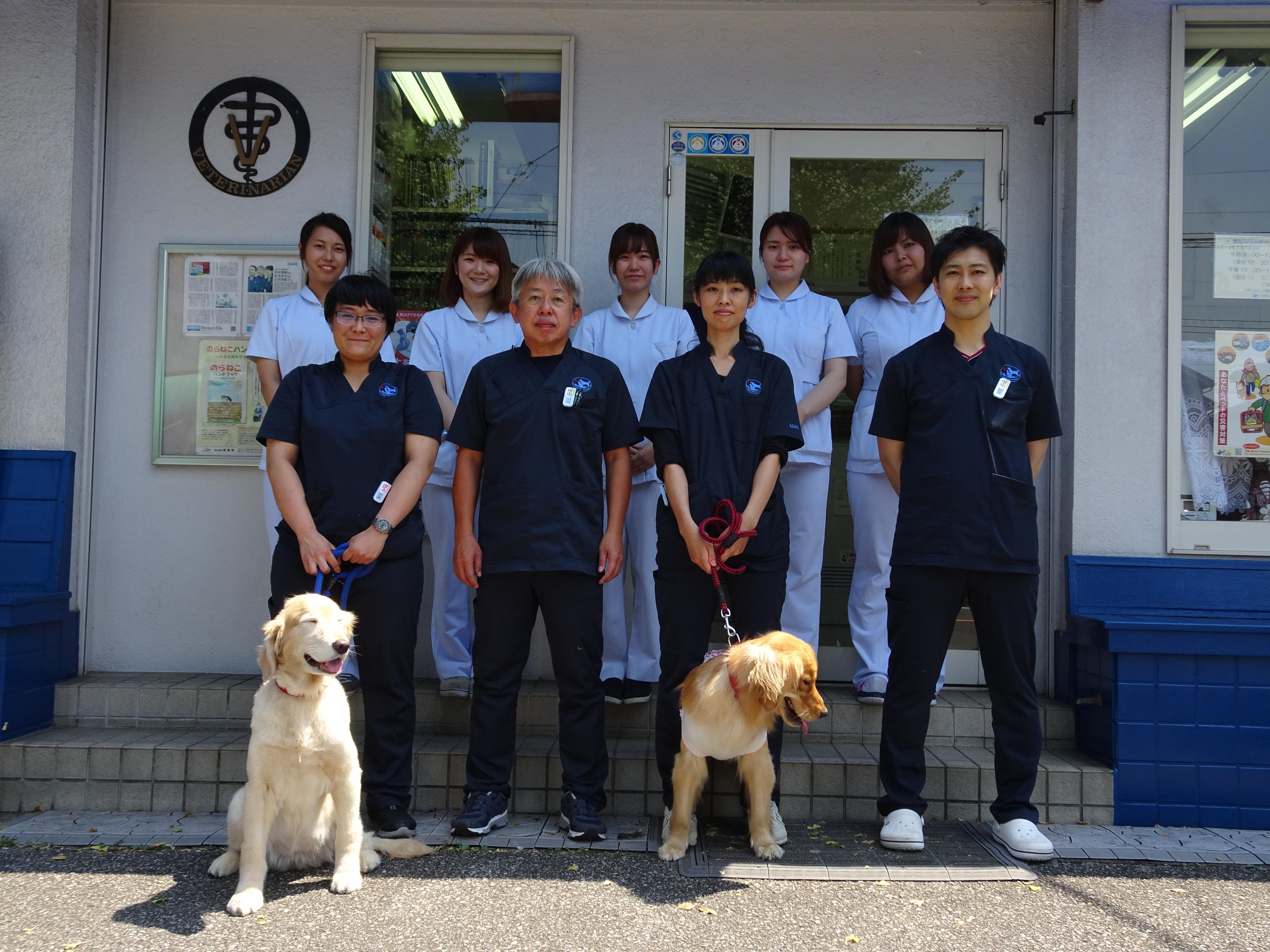 千葉県松戸市　愛玩動物看護師募集！！