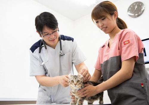 後藤動物病院