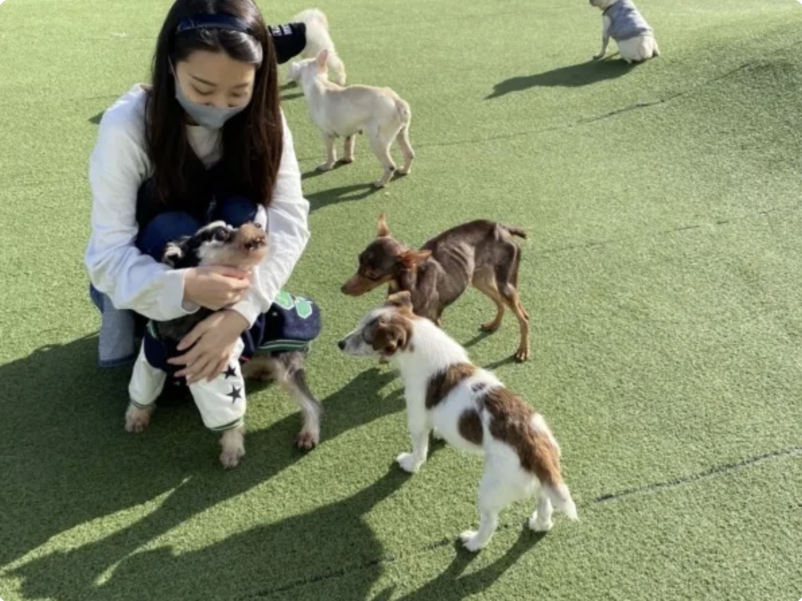 大型犬〜小型犬まで楽しめます！