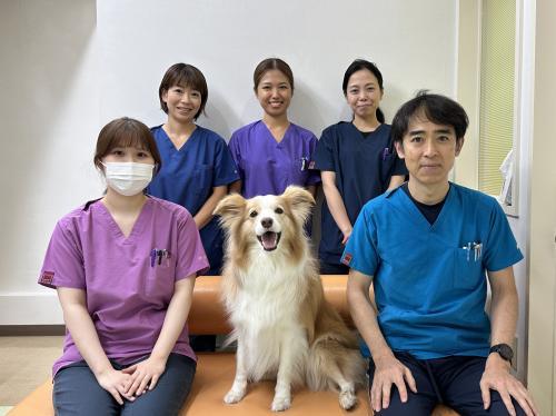 日本橋動物病院