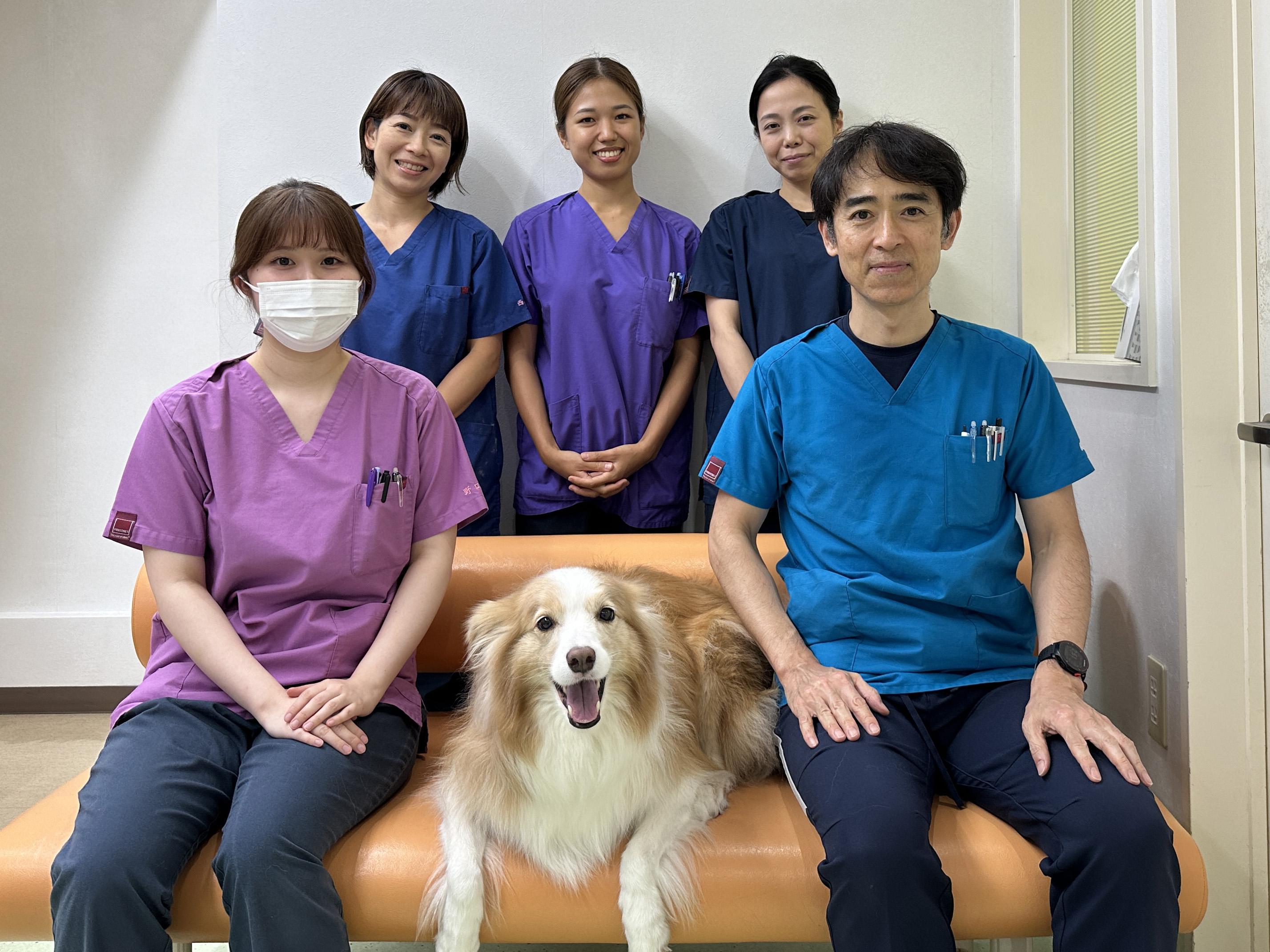 東京都中央区、動物看護師を募集しています(新卒、既卒、中途)