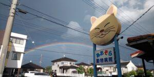 あおぞら動物病院