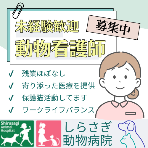 【未経験歓迎】心に寄り添った医療を提供しています