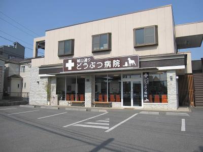 【社保完備】埼玉県朝霞市　城山通りどうぶつ病院　看護師募集