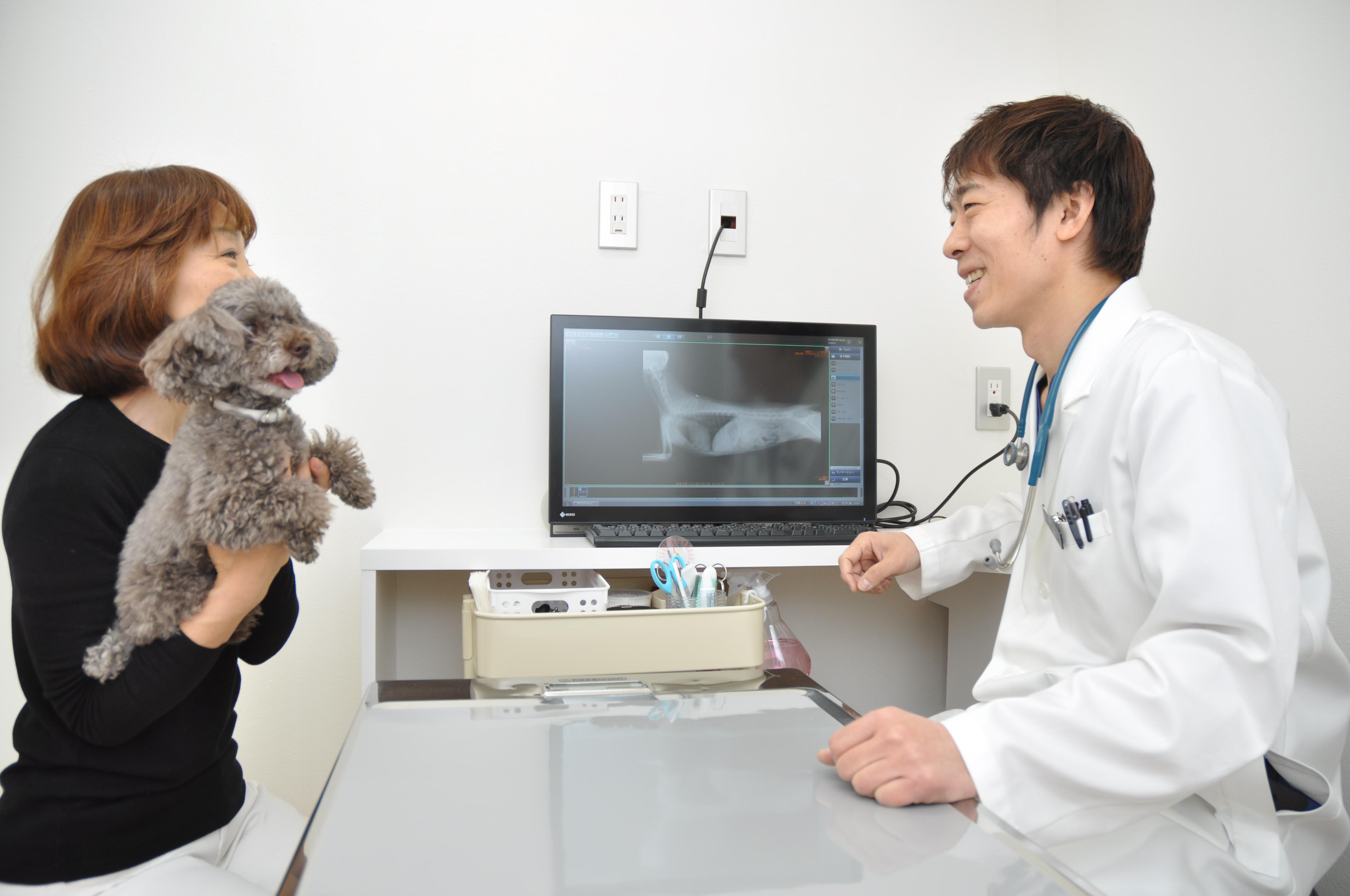 未経験OK！動物看護師 新卒募集☆　世田谷 二子玉川・用賀☆