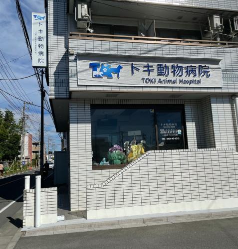 トキ動物病院