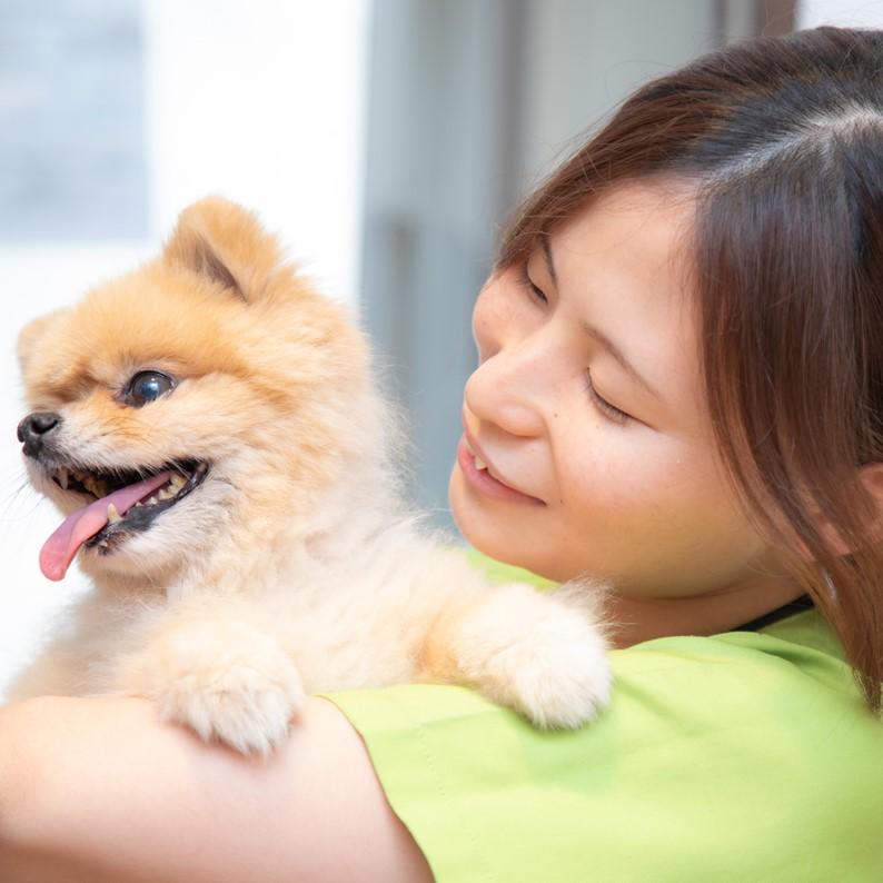 【正社員】動物看護師募集