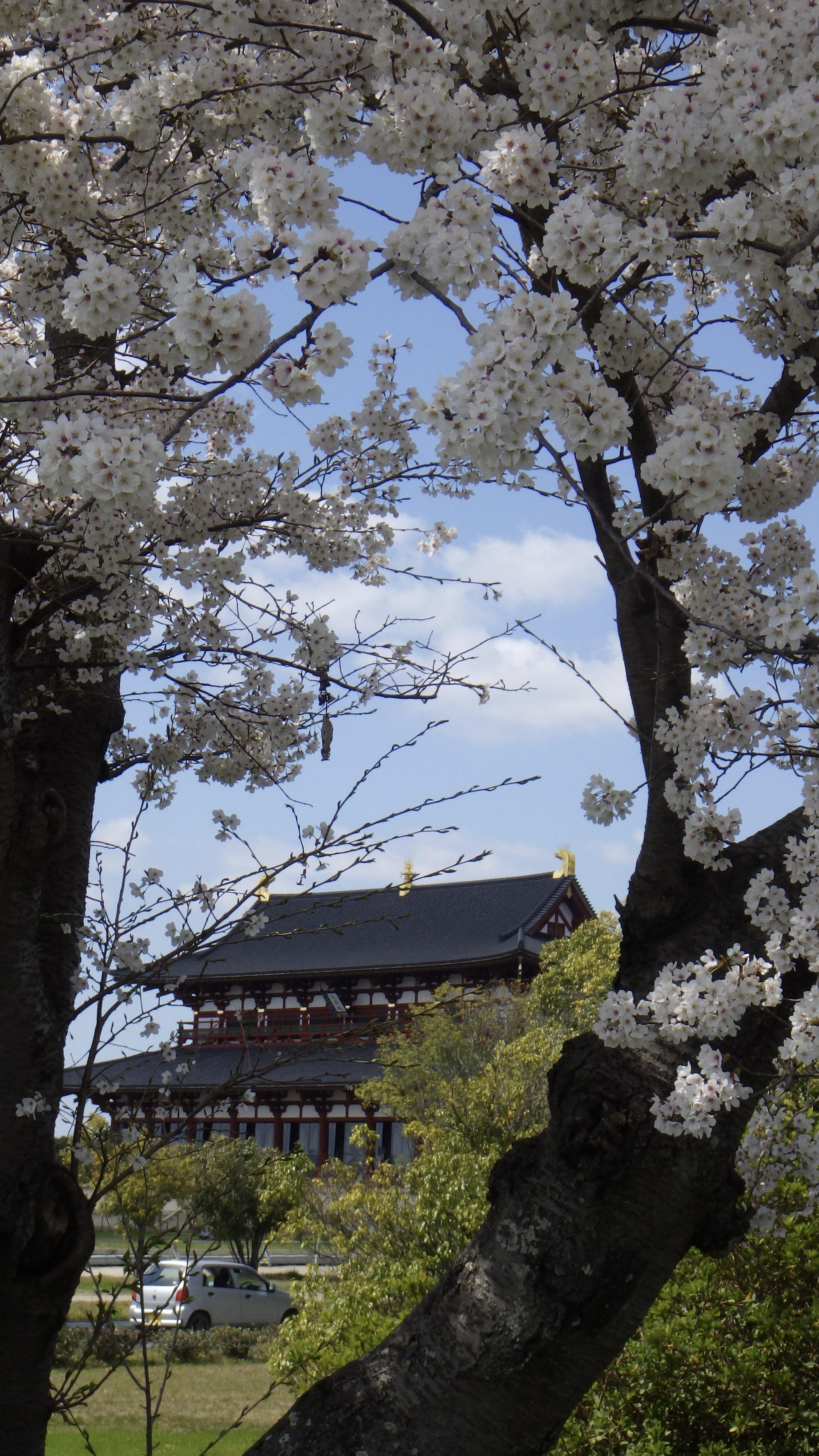 近くには世界遺産の平城京跡があります。