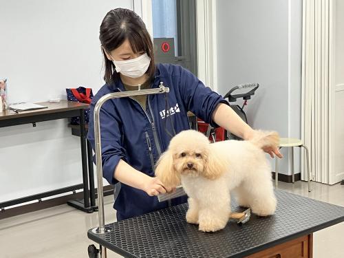 専門学校福岡ビジネス・アカデミー