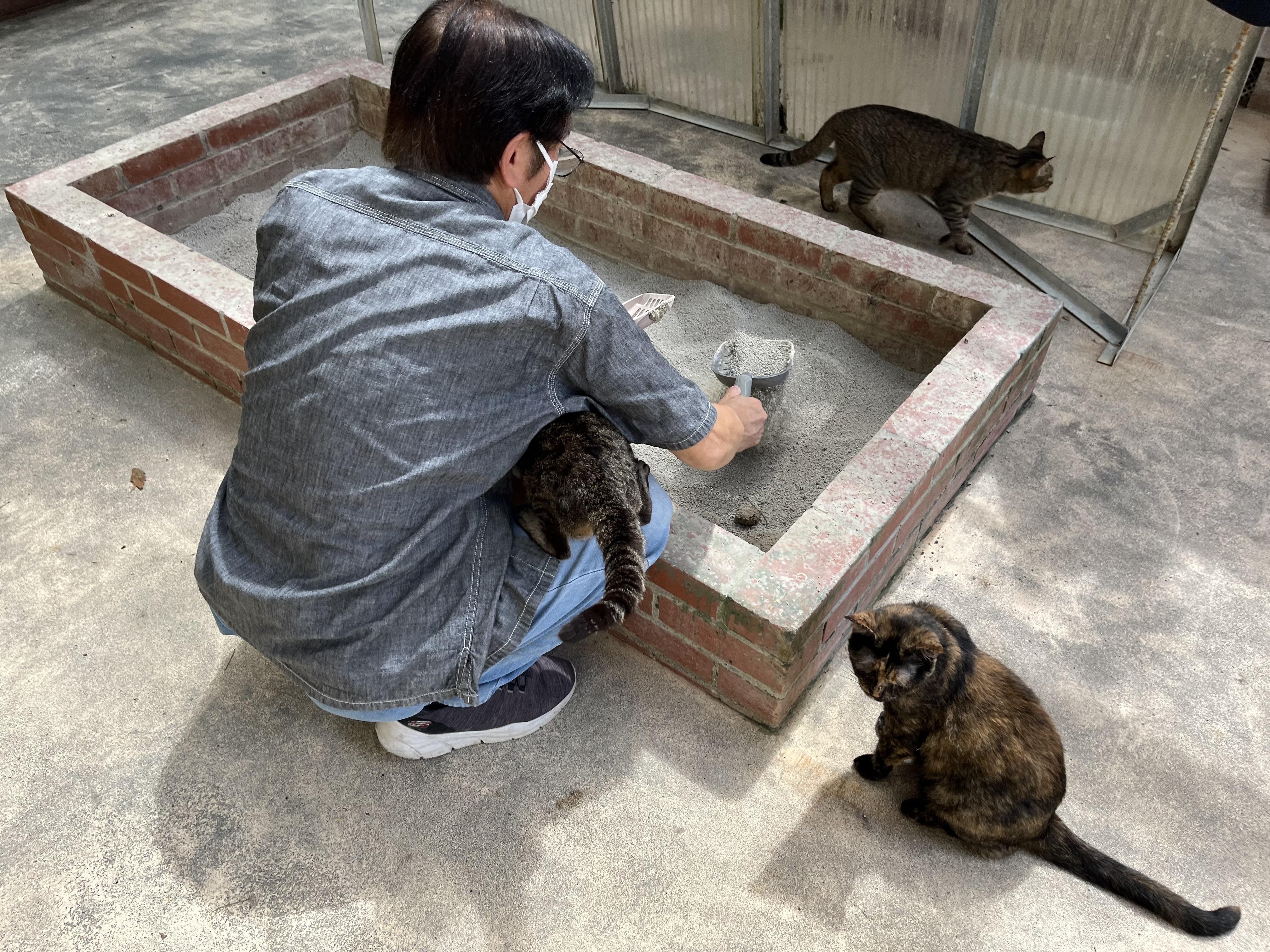 犬や猫の飼育がメインの仕事です。