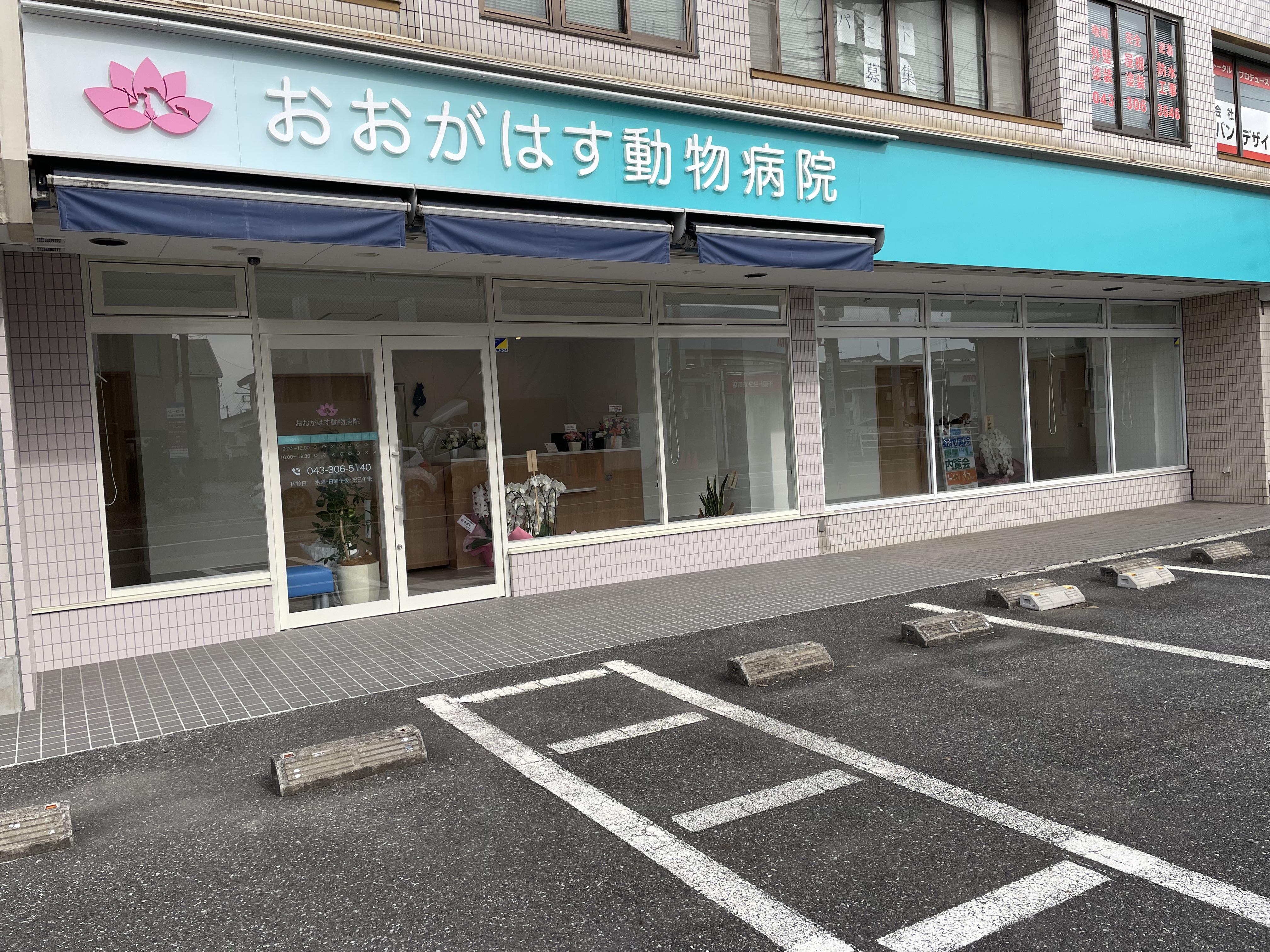 花見川区　おおがはす動物病院　動物看護師募集 