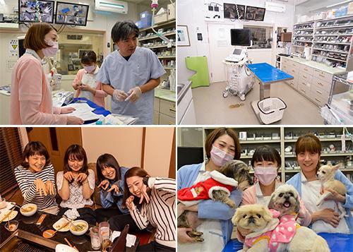 獣医師経験者フルタイム、有休消化率100%！設備豊富です！