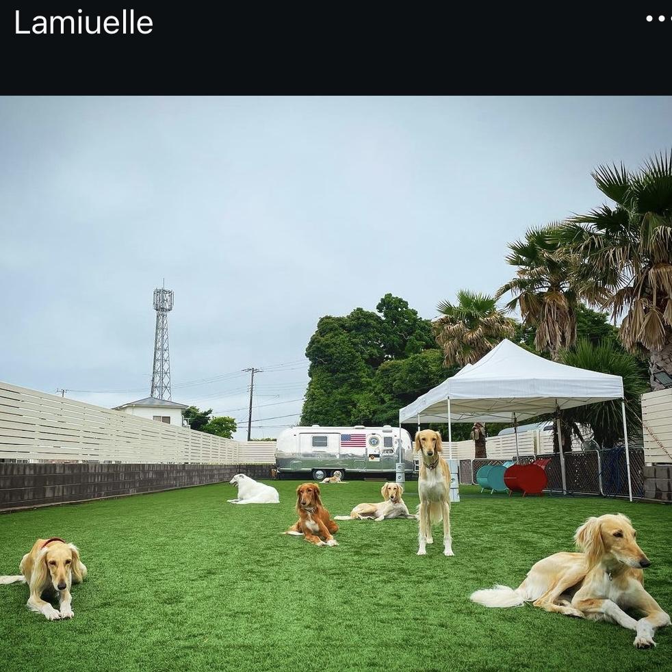 犬のお世話係パート・アルバイト募集！