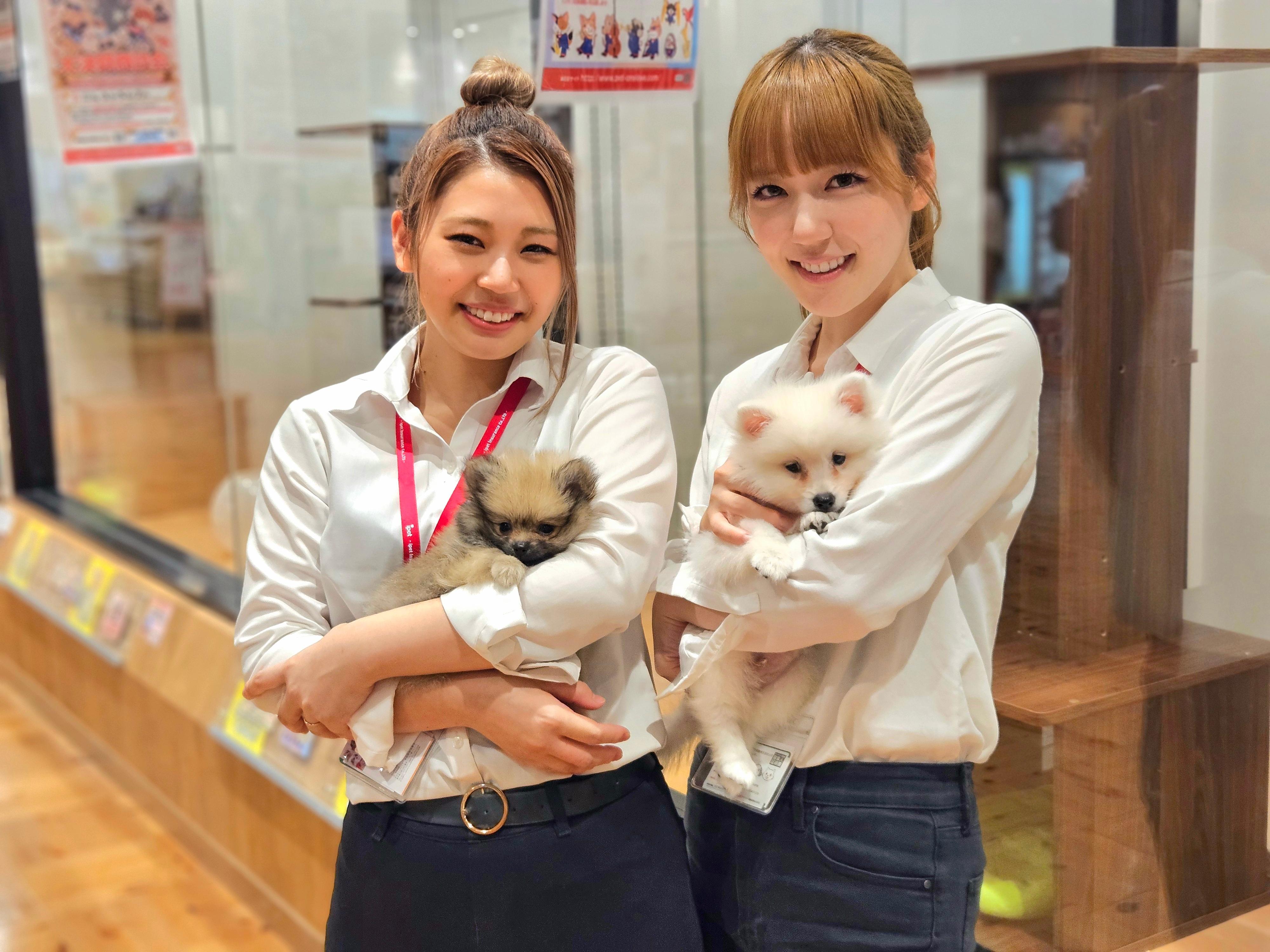 【ペットショップワンラブ】ミ・ナーラ奈良店　トリマー募集中