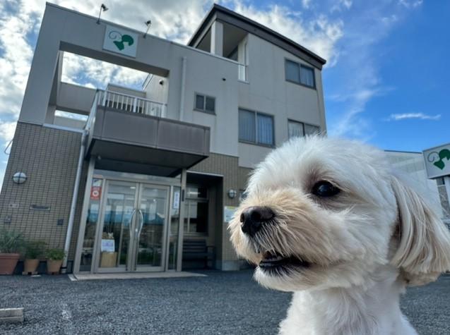 愛玩動物看護師　募集中です