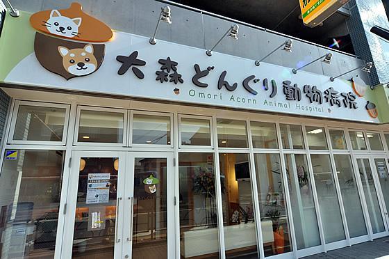 ★受付・事務さん募集★大森どんぐり動物病院（大田区）