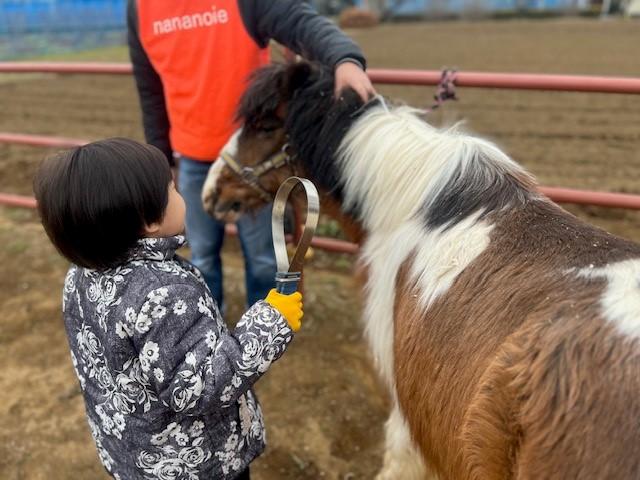 アニマルセラピー施設のポニー飼育員