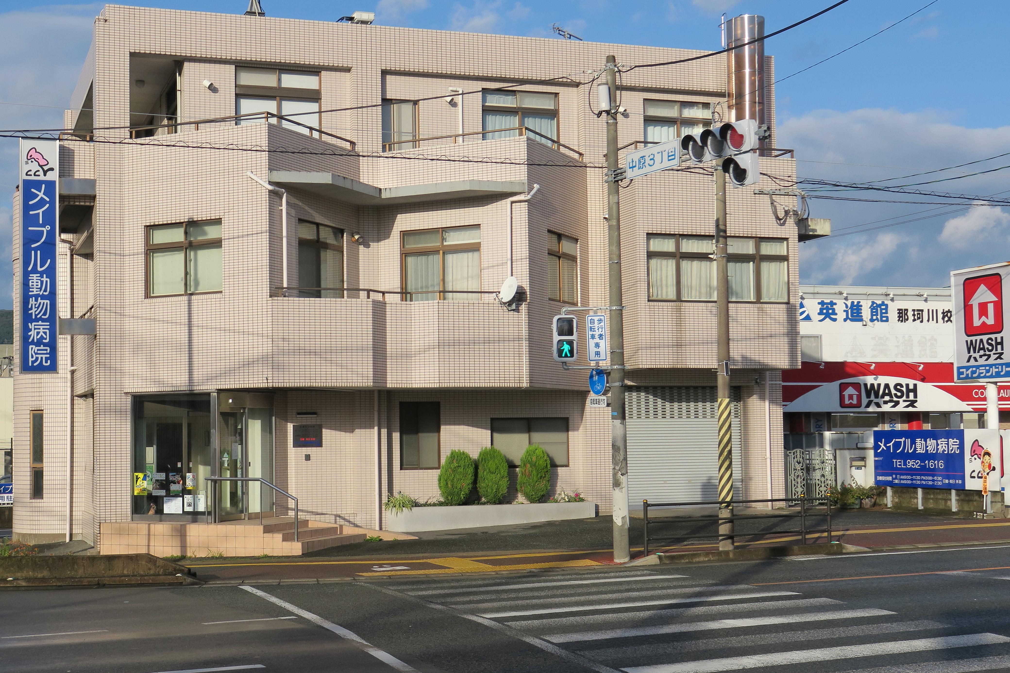 愛玩動物看護師・動物ケアスタッフ募集