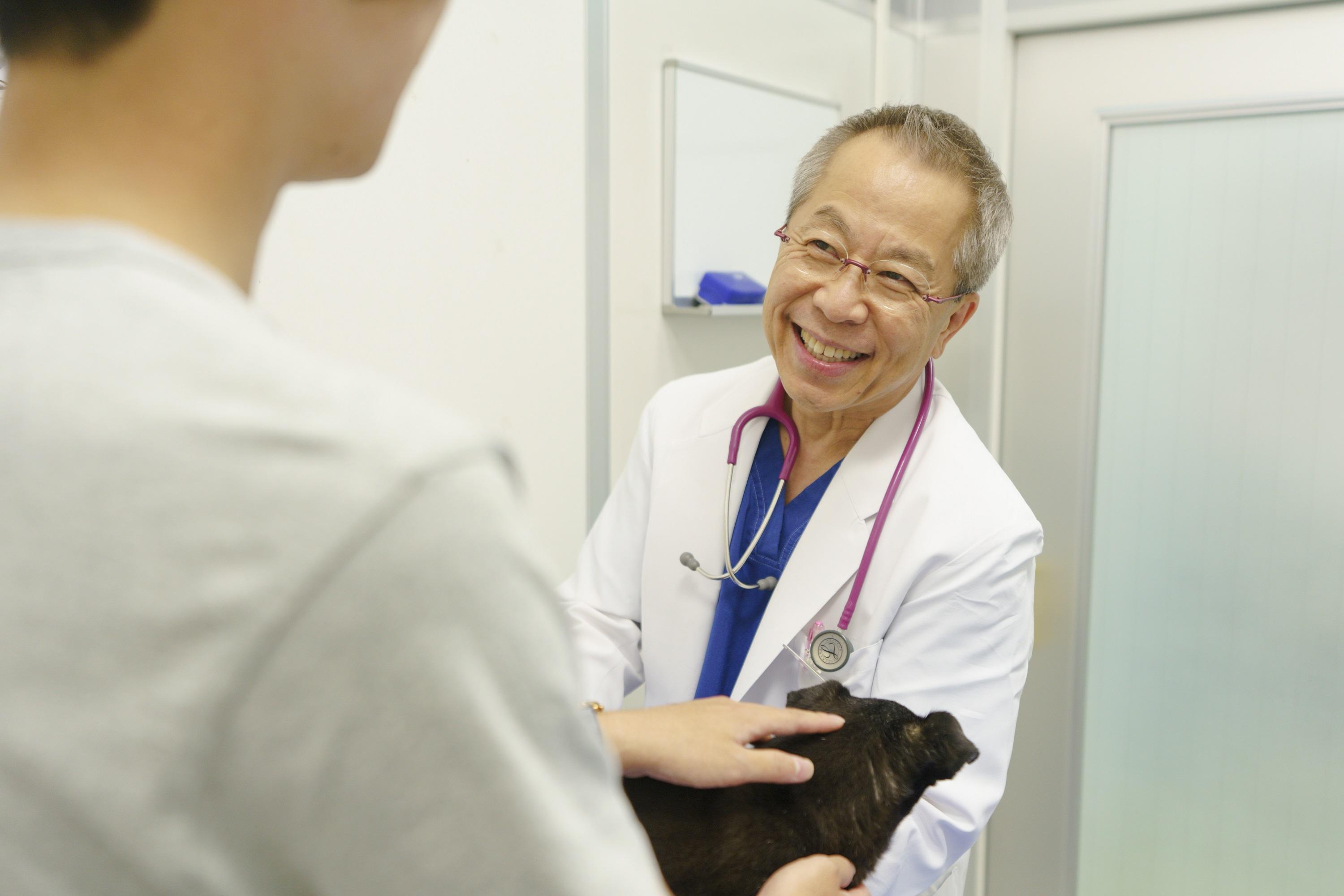 動物看護師さん募集☆京都の大きな動物病院で働いてみませんか？