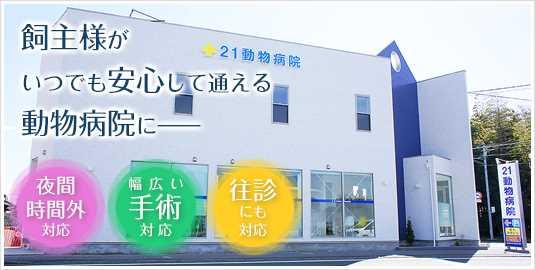 【獣医師募集】流山市【パート、アルバイト】