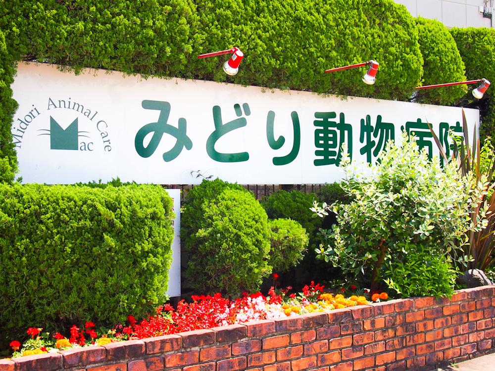 ブランクの有る方もご連絡下さい.予防や検査中心の働き方も可能