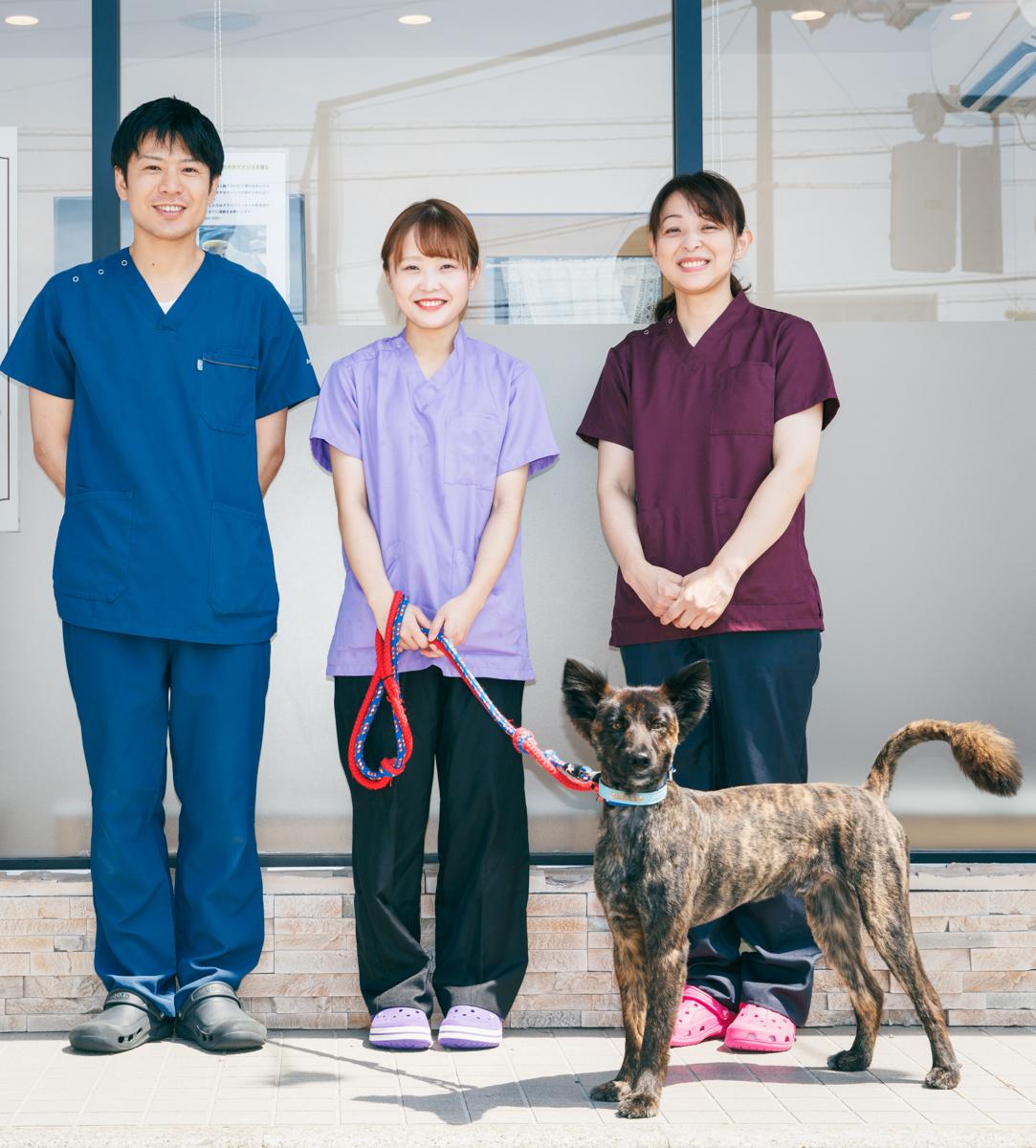 かっしー動物病院 トリマー兼動物看護士募集 19年openの医院です 動物病院 獣医師 動物看護師 トリマーの求人サイト ペットリクルート