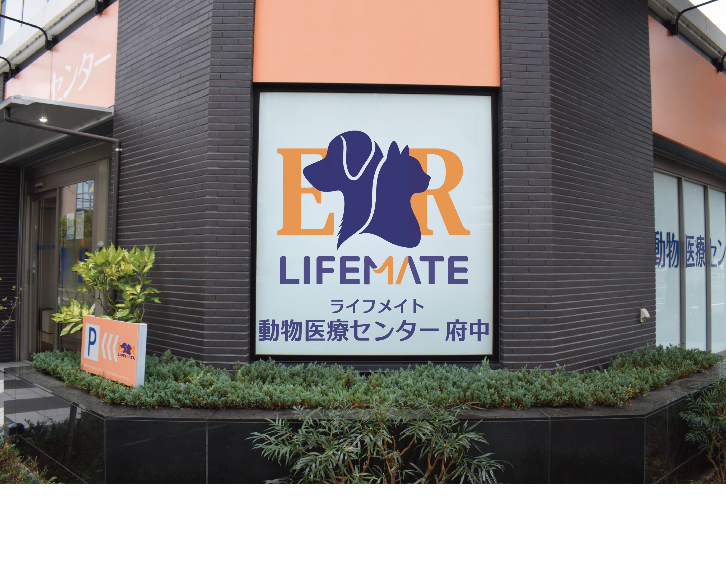 【愛玩動物看護師】ライフメイト動物医療センター府中