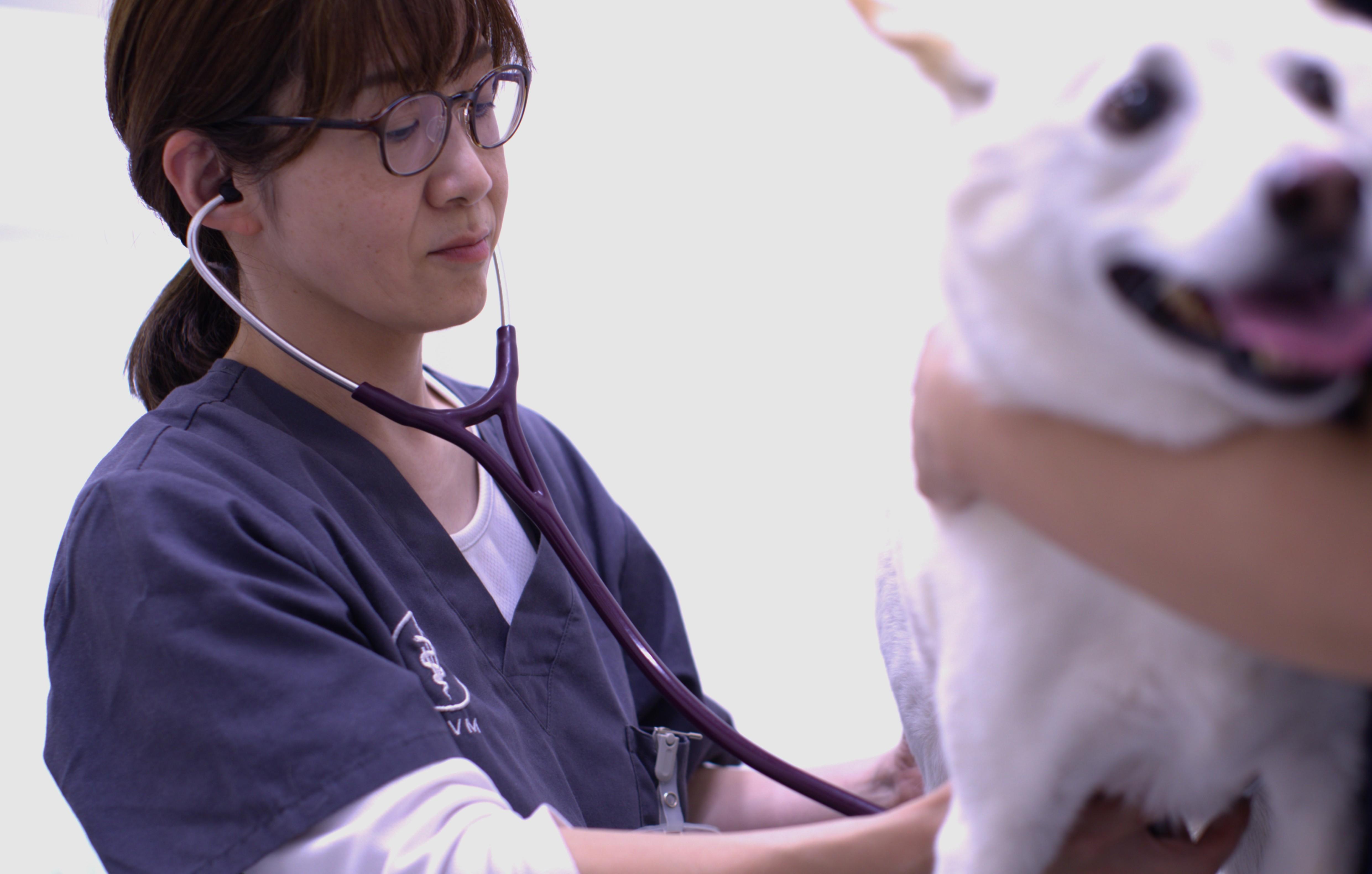 かとり動物病院｜ライフスタイルに合わせてシフト柔軟