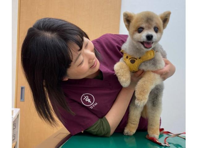 【週２から】＜獣医師アルバイト＞東京都羽村市　やまの動物病院