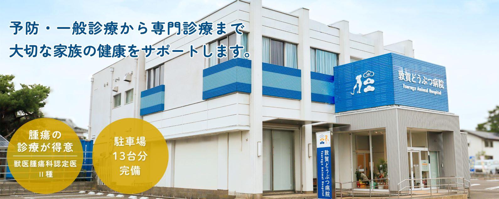 敦賀どうぶつ病院　獣医師募集！