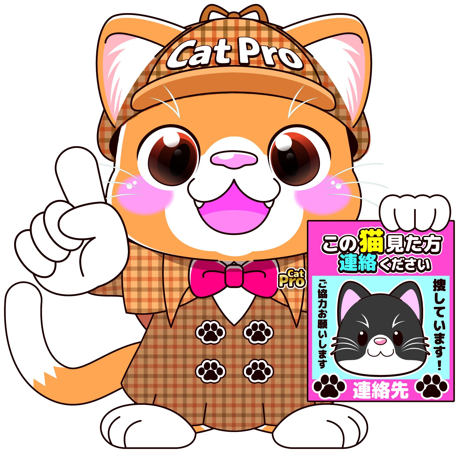 猫ちゃん探偵　群馬県