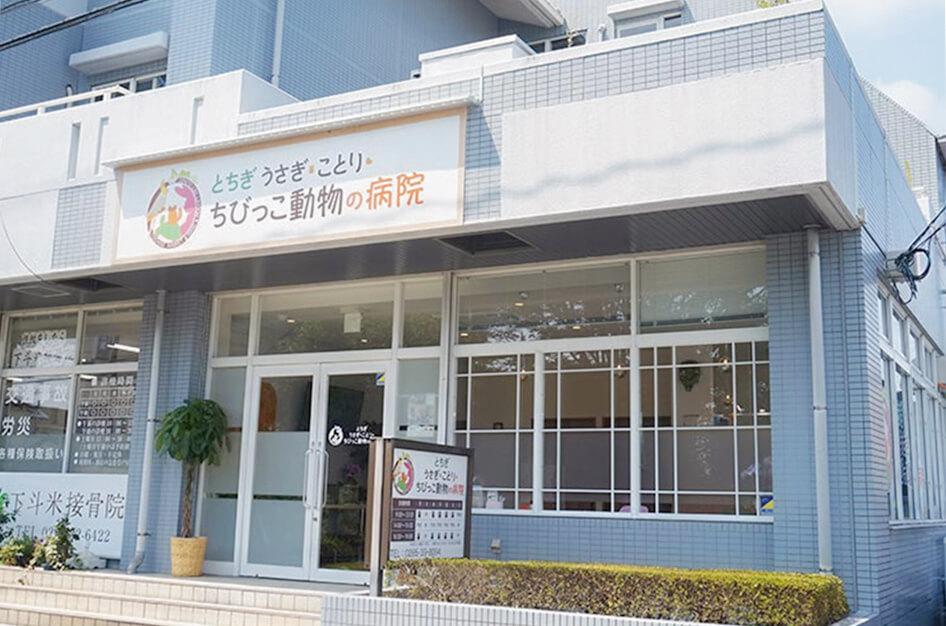 エキゾチックペット専門病院の獣医師募集