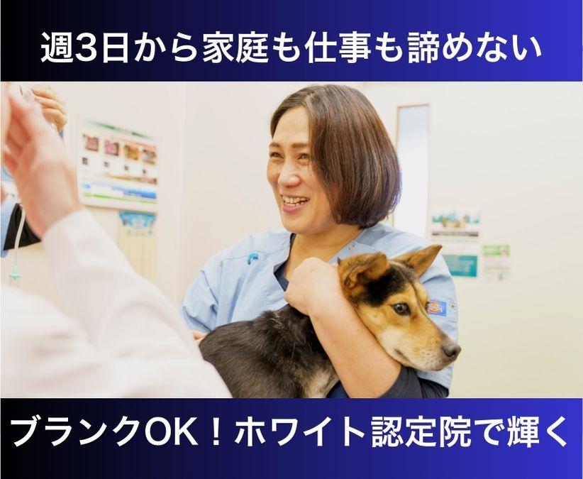 【愛知・弥富】パート動物看護師｜週3日～｜家庭との両立◎