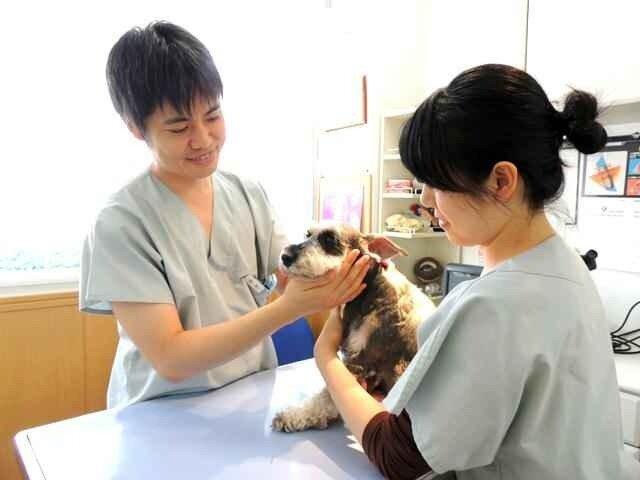 獣医師募集！！