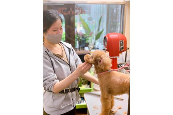 トリマー兼看護師さん募集｜動物病院Rire（渋谷区上原）