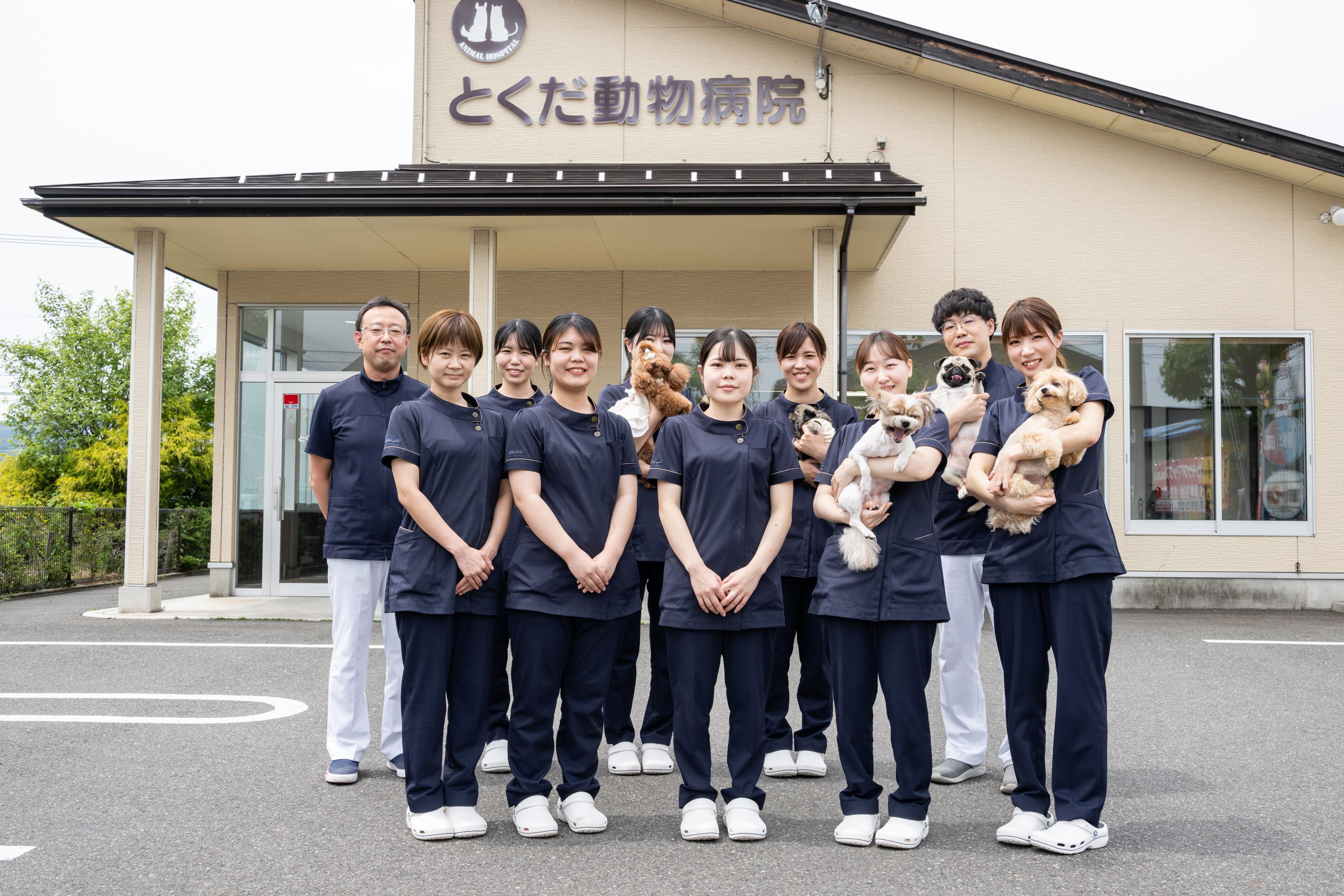 福井県福井市　とくだ動物病院　 獣医師募集