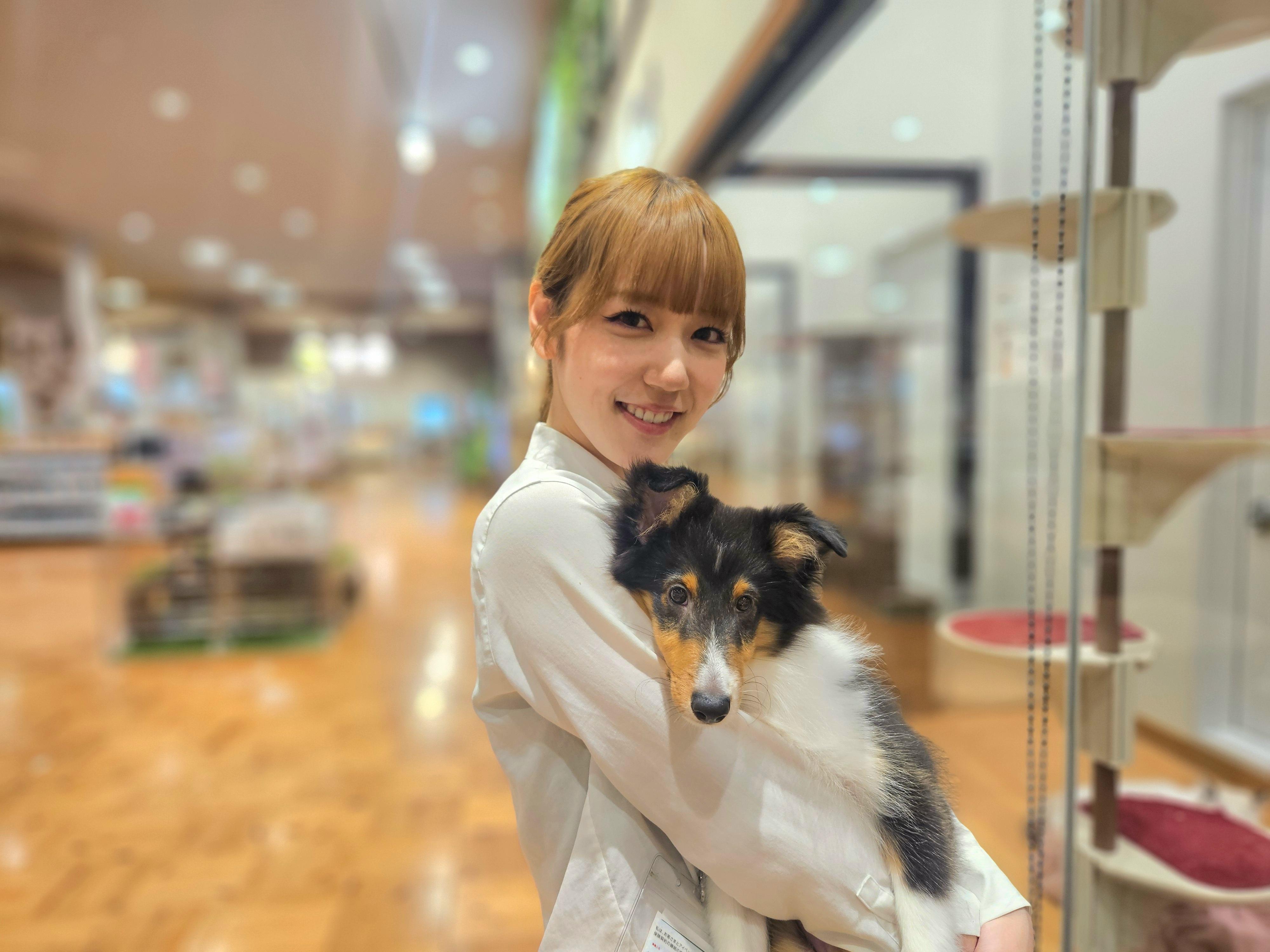 「ペットショップワンラブ」ゆめタウンはません店　トリマー募集