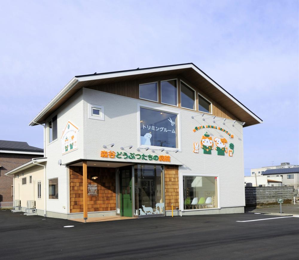 森谷 どうぶつ たち の 病院