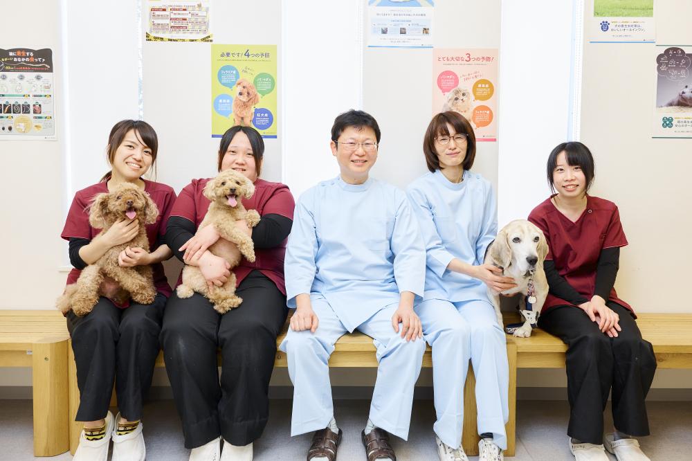 急募！動物看護師