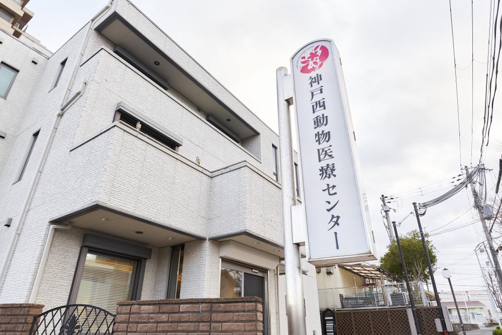 トリマー募集！！
